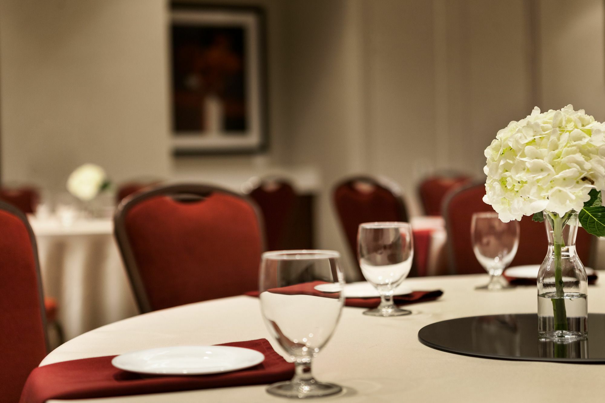 Hilton Garden Inn Charlotte Southpark מראה חיצוני תמונה
